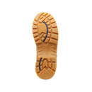 wheat