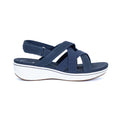 navy-canvas
