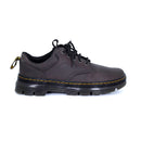 gunmetal-saddleback