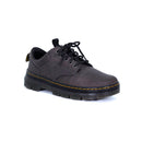 gunmetal-saddleback