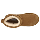 chestnut